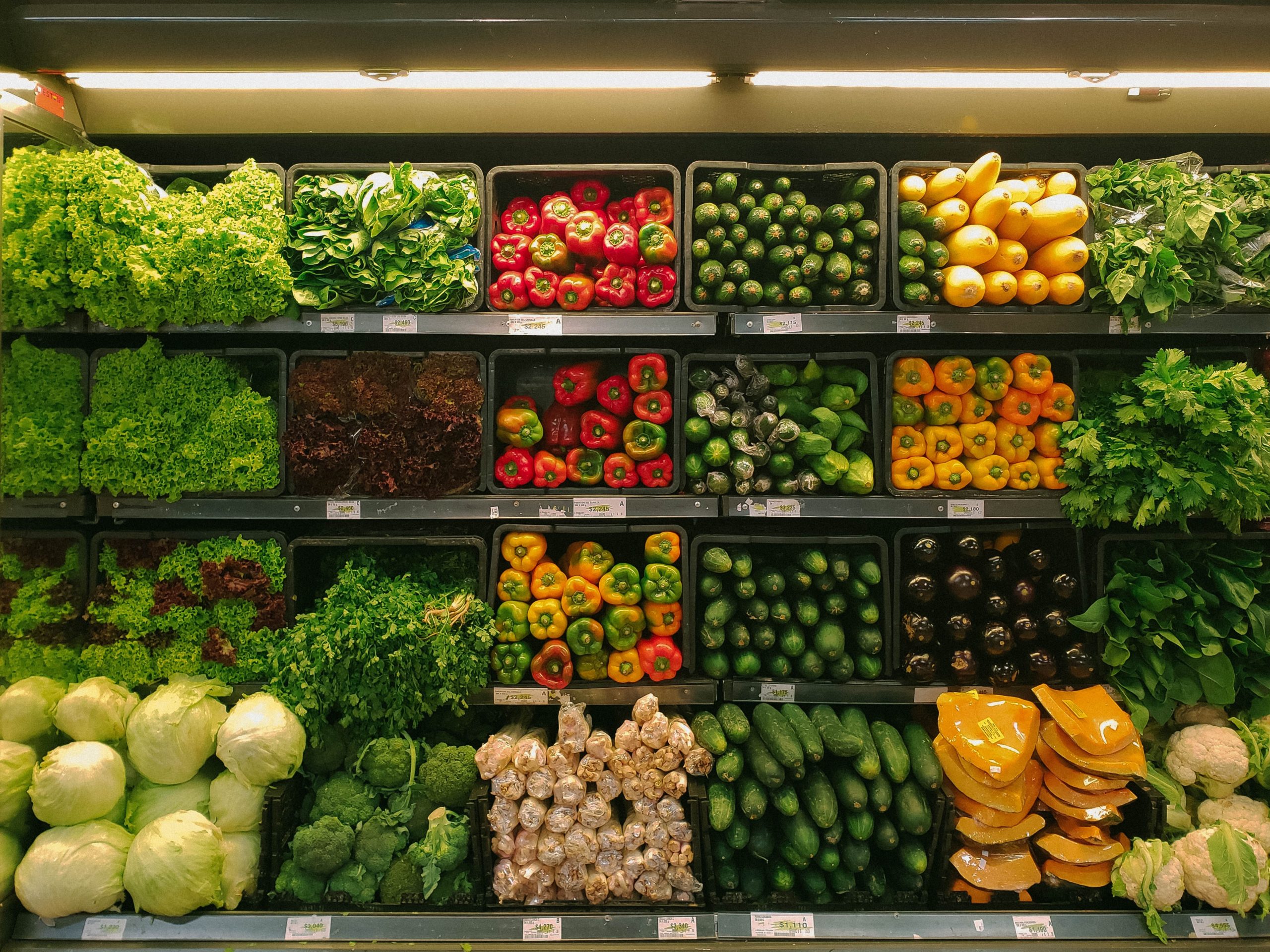 Paul E. William's Article on Publicly Owned Grocery Stores