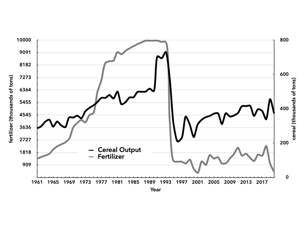 North Korea Fertilizer Use and Cereal Output